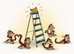 five monkeys at base of a ladder with a bunch of bananas at the top