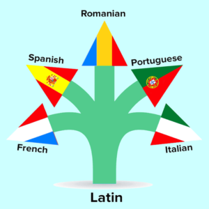 A language tree with Latin as the parent language at the root and child languages French, Spanish, Romanian, Portuguese and Italian on the branches of the tree