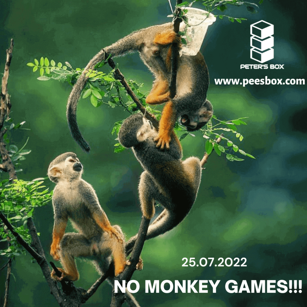 no monkey games blog post flyer - Peter's Box