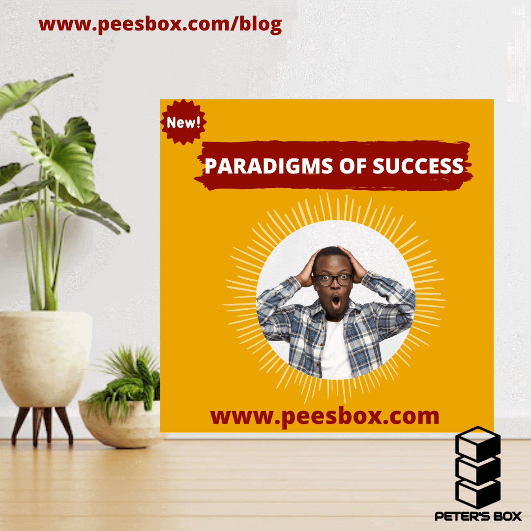 Paradigms of Success blog post - Peter's Box