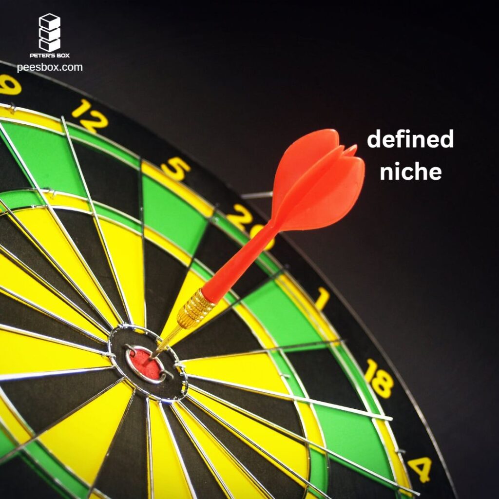 defined niched represented by a dart in a bull's eye