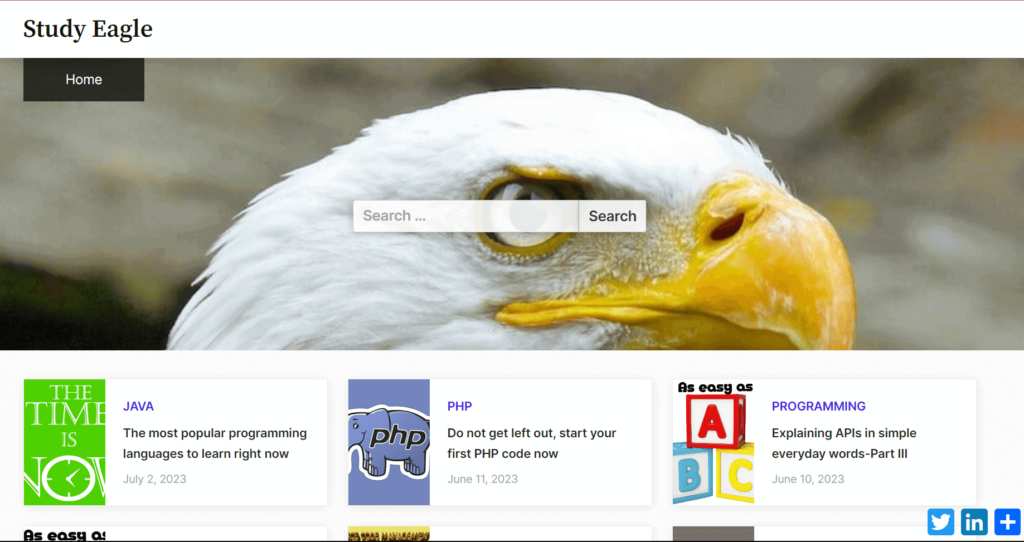 homepage of study eagle website