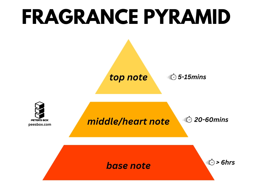 fragrance pyramid - Peter's Box